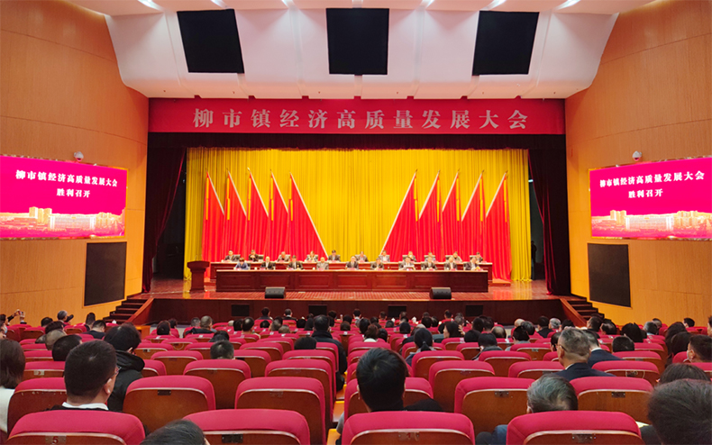 敢闖敢拼，擔(dān)當(dāng)“頭雁”！柳市鎮(zhèn)經(jīng)濟(jì)高質(zhì)量發(fā)展大會召開，公司再添榮譽(yù)